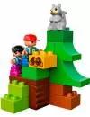 Конструктор Lego Duplo 10582 Лесные животные фото 4