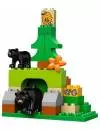 Конструктор Lego Duplo 10584 Лесной заповедник фото 4