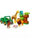 Конструктор Lego Duplo 10802 Вокруг света: Африка icon