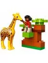 Конструктор Lego Duplo 10802 Вокруг света: Африка icon 4