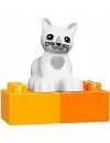 Конструктор Lego Duplo 10838 Домашние животные icon 5