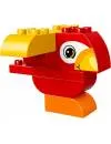 Конструктор Lego Duplo 10852 Моя первая птичка icon