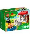 Конструктор Lego Duplo 10870 Ферма: домашние животные фото 3