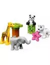 Конструктор Lego Duplo 10904 Детишки животных icon