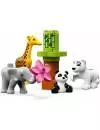 Конструктор Lego Duplo 10904 Детишки животных фото 2