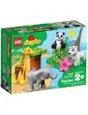 Конструктор Lego Duplo 10904 Детишки животных фото 4