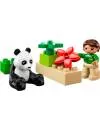 Конструктор Lego Duplo 6173 Панда icon