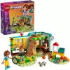 Конструктор Lego Friends 42646 Осенняя комната icon 2