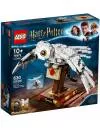 Конструктор LEGO Harry Potter 75979 Букля icon