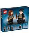 Конструктор LEGO Harry Potter 76393 Гарри Поттер и Гермиона Грейнджер icon 2