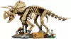 Конструктор Lego Jurassic World 77985 Окаменелости динозавров: Трицератопс фото 7