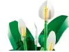 Конструктор Lego The Botanical Collection 11504 Мирная лилия icon 4