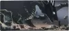 Коврик для мыши Lorex Cyber Big. Demons Inside LXMSPCB-DI icon