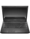 Ноутбук Lenovo G575 (59339313) icon 3