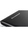 Ноутбук Lenovo G70-80 (80FF002VRK) фото 8