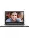 Ноутбук Lenovo IdeaPad 310-15IAP (80SM01YQRU) icon