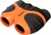 Бинокль Levenhuk Discovery Basics BBС 8x21 Terra 79655 icon