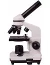 Микроскоп Levenhuk Rainbow 2L фото 2