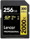 Карта памяти Lexar Professional 2000x SDXC LSD2000256G-BNNNG 256GB icon