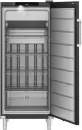 Морозильник Liebherr FFFBvg 5501 Perfection icon
