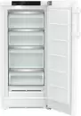 Однокамерный холодильник Liebherr RBa 4250 Prime BioFresh icon 3