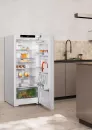 Холодильник Liebherr Rf 4600 Pure фото 9