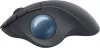 Компьютерная мышь Logitech MX Ergo M575 (графитовый) icon 2