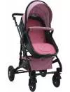Детская коляска Lorelli Alba 2020 (2 в 1, pink) фото 3