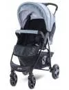 Прогулочная коляска Lorelli Daisy Basic (black silver blue) icon