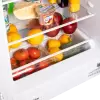 Однокамерный холодильник MAUNFELD MBL88SWGR фото 4
