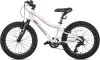 Детский велосипед Maxiscoo 3bike 20 L 2025 MSC-M3-2003 (серый) icon 3