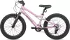 Детский велосипед Maxiscoo 5bike 20 L200 2025 MSC-M5-2013 (розовый сапфир) icon 3