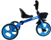Детский велосипед Maxiscoo Dolphin 2023 MSC-TCL2301BL (синий) фото 3