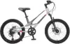 Детский велосипед Montasen MB12B-20GR (серый) icon