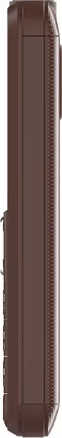Мобильный телефон Maxvi B200 (коричневый) фото 5