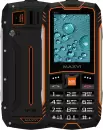 Мобильный телефон Maxvi R10 (черный/оранжевый) icon