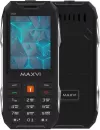 Мобильный телефон Maxvi T101 (черный) icon