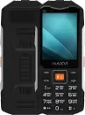 Мобильный телефон Maxvi T19 (черный) icon