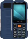 Мобильный телефон Maxvi T19 (синий) icon