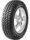 Зимняя шина Maxxis WP-05 ArcticTrekker 215/65R17103H icon