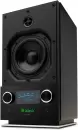 Беспроводная аудиосистема McIntosh RS150 фото 2