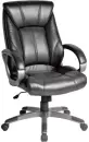 Кресло офисное Brabix Maestro EX-506 (черный) icon