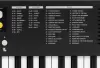 Синтезатор Medeli MK1 (черный) icon 4