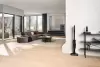 Пылесос Miele Triflex HX3 Plus Aqua ObsidianBlack SWDL0 фото 3