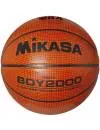 Мяч баскетбольный Mikasa BDY2000 icon