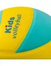 Мяч волейбольный Mikasa SKV5-YLG фото 4