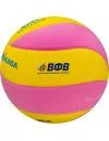 Мяч волейбольный Mikasa SKV5-YP фото 3