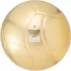 Мяч волейбольный Mikasa VG018W размер 5 золотой icon 2