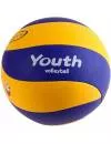Мяч волейбольный Mikasa YV-3 Youth icon 2