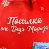 Мешок для обуви Milo Toys Посылка от Деда Мороза 9720697 icon 4
